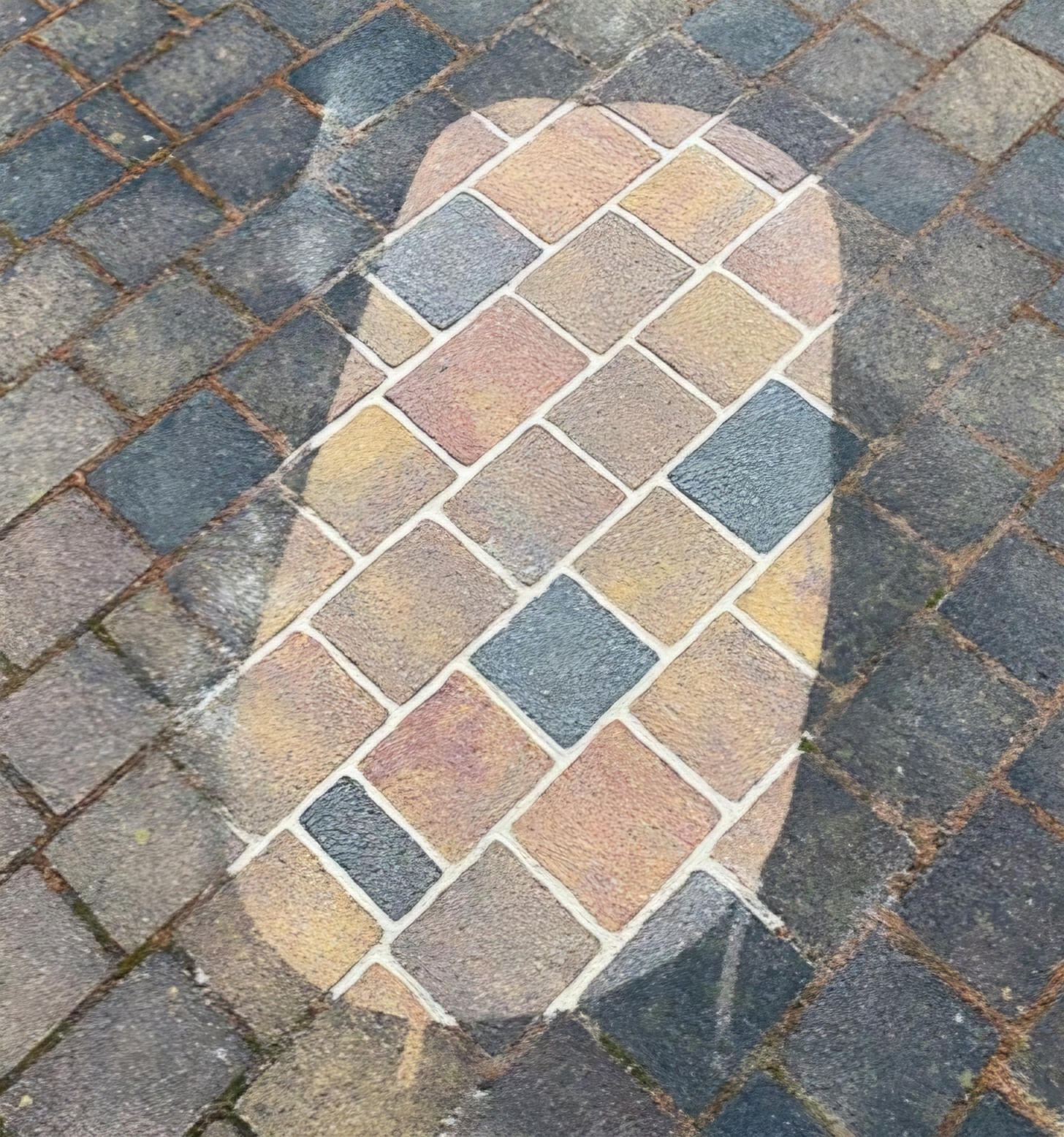 Professionelle Pflastersteinreinigung